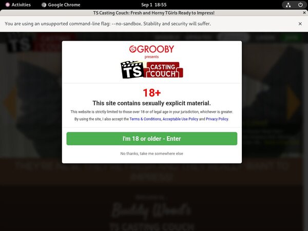 Access Tscastingcouch Free