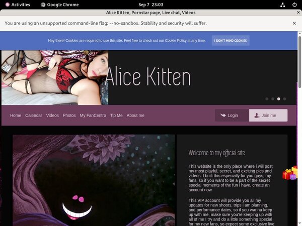 Alicekitten.modelcentro.com Iphone