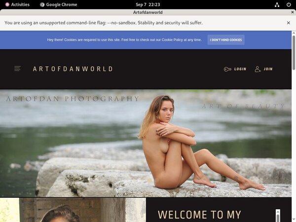 Artofdan Movies Free