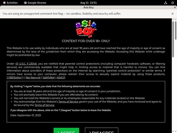 Asia Boy Blogspot
