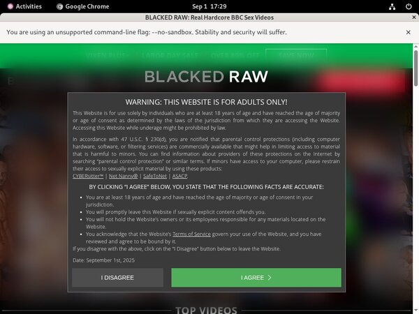 Blacked Raw Mom