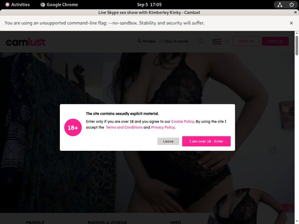 Camlust.com Accept Paypal Camlust.com Accept Paypal