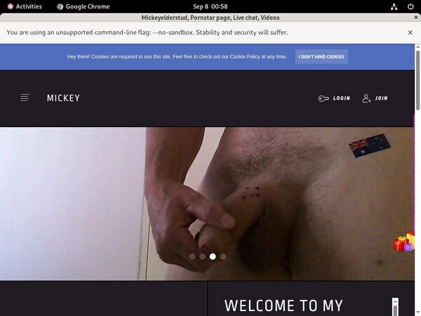 Coupon Mickeyelderstud