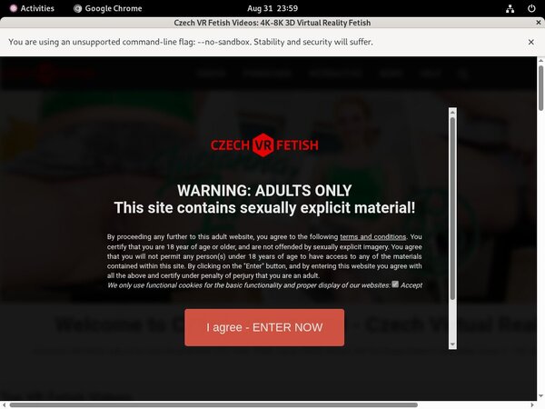 Czech VR Fetish With Zombaio