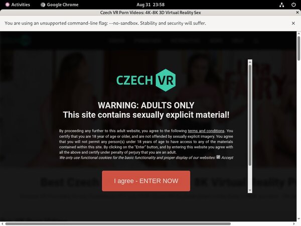 Czech VR Member Passwords