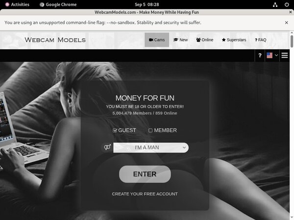 Discount For Webcam Models