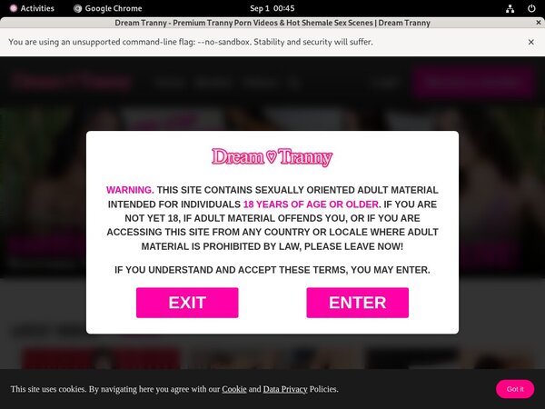 Dream Tranny Store