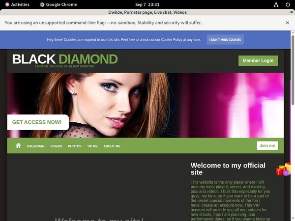 Dwilde.modelcentro.com Org