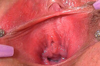 Free Account To Gape My Pussy s2