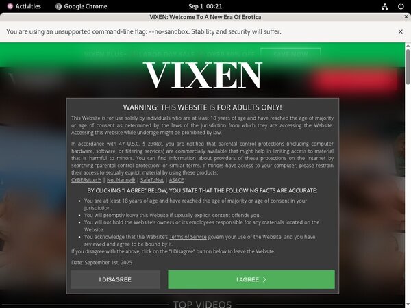 Free Working Vixen Accounts Free Working Vixen Accounts