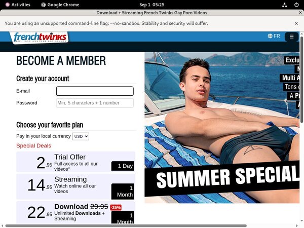 French Twinks Galleries