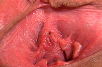 Gape My Pussy Accounts s1