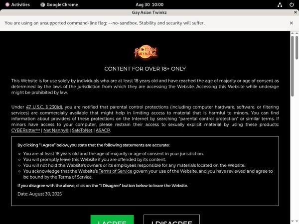 Gay Asian Twinkz Blogspot