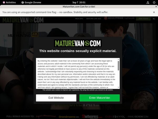 Get Inside Mature Van