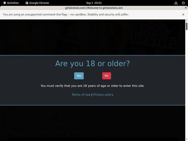 [Image: Girls-In-Steel-For-Tablet.jpg]