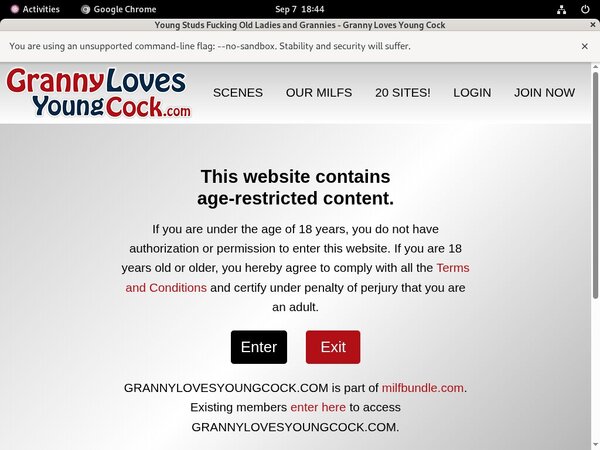 Granny Loves Young Cock Site Rip
