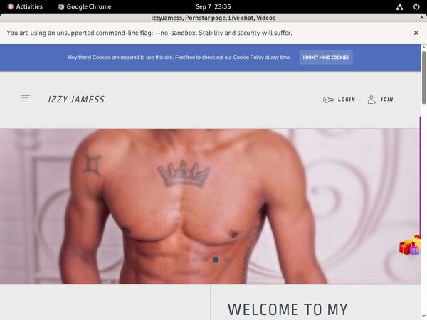 IzzyJamess Paypal Payment