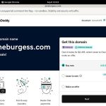 Janeburgess.com Accept Pay Pal