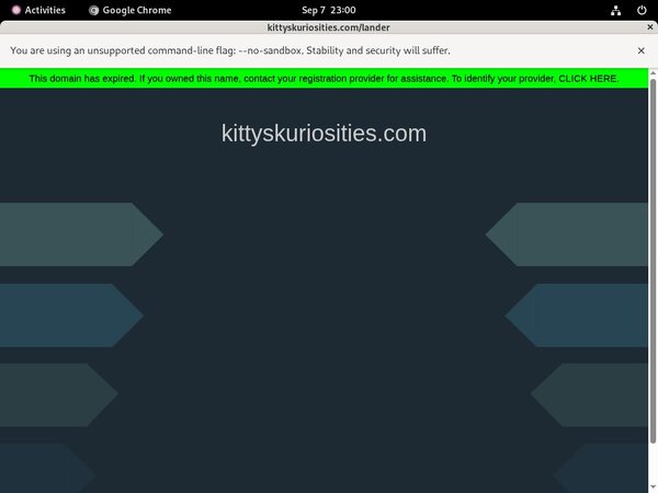 Kitty'sKuriosities Segpay Discount