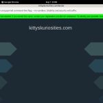 Kuriosities Kitty’s With Paypal