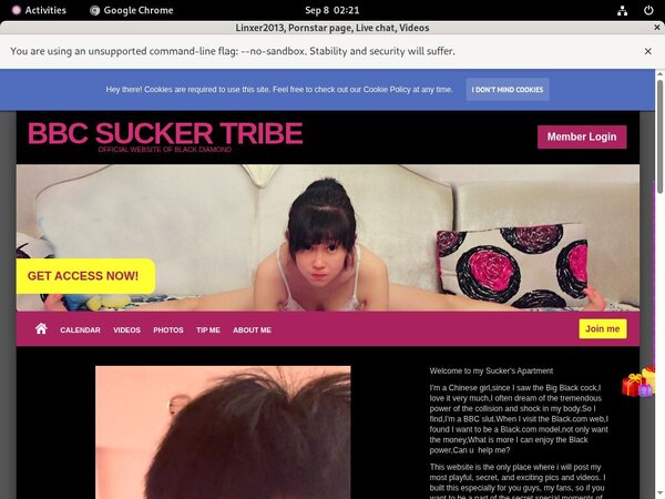 [Image: Linxer2013-Adult-Passwords.jpg]