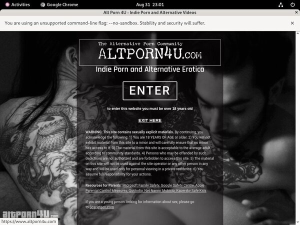 Login Altporn4u.com