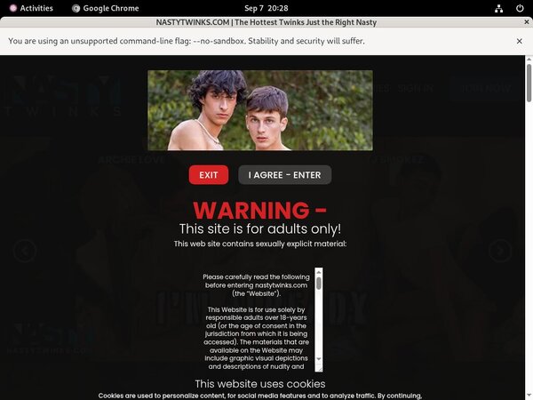 Nasty Twinks Org