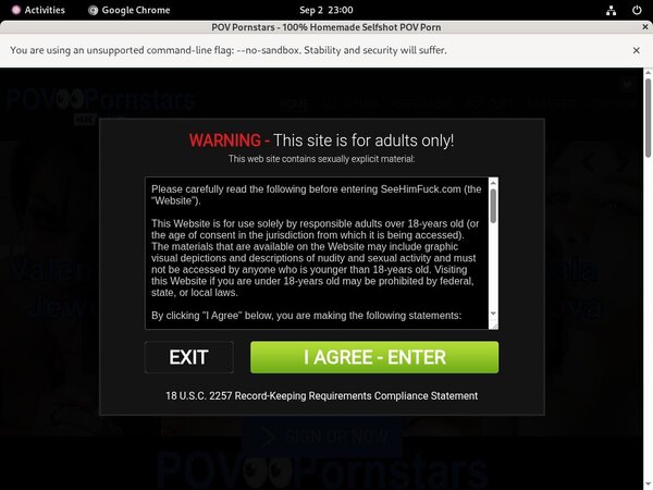 [Image: POV-Pornstars-Freebies.jpg]