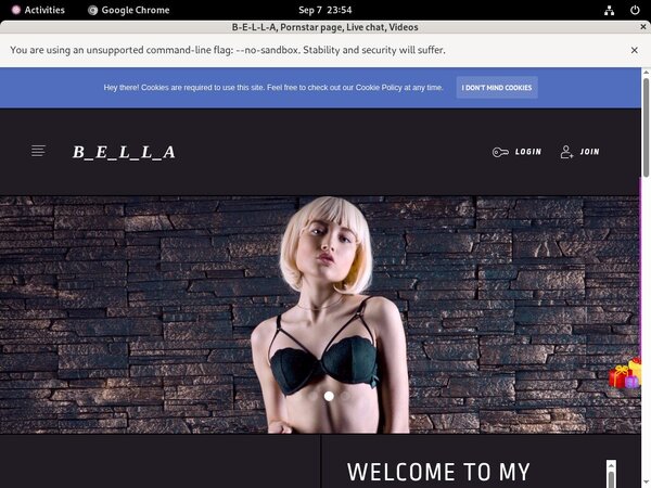 Passwords B-E-L-L-A Free
