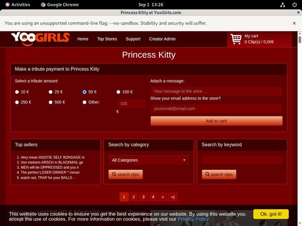 Princess Kitty Discount Paypal
