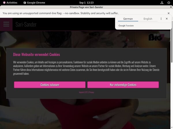 Sari Sander Free Trial Code