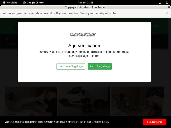 Sketboy.com Passwords
