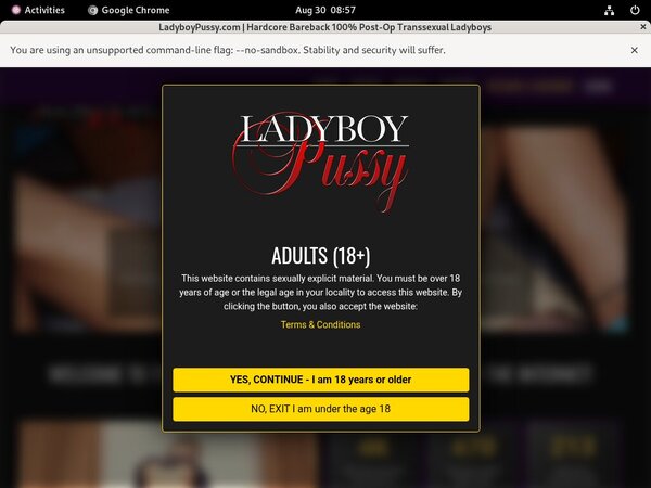 Video Ladyboy Pussy Free