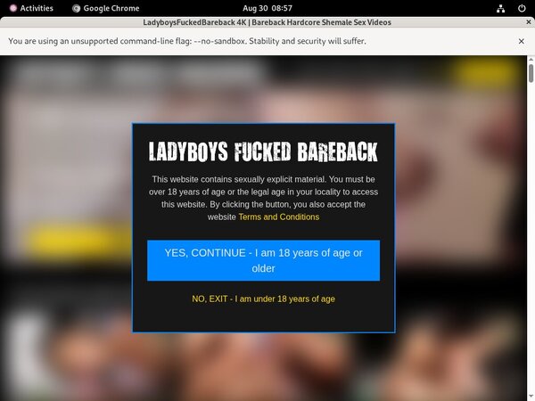 Ladyboys Fucked Bareback Bezahlen