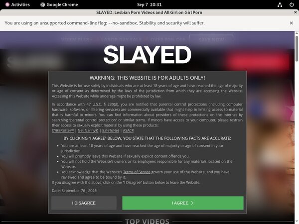 Valid Slayed Passwords