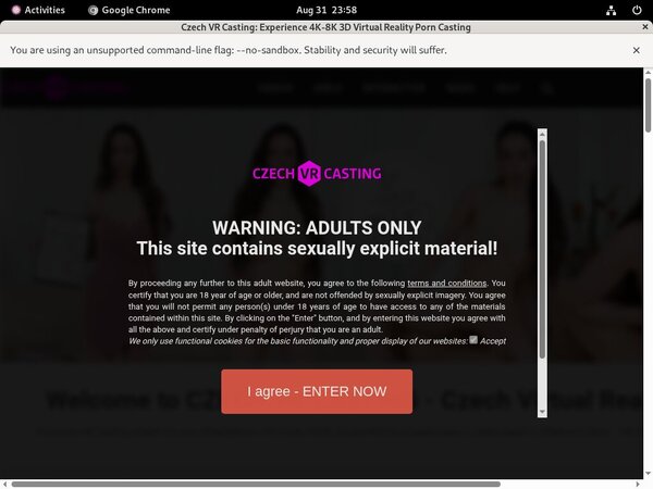 Czechvrcasting Segpay Discount