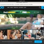 Spizoo Accounts Working